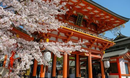 Registrasi Visa Waiver Jepang Secara Online