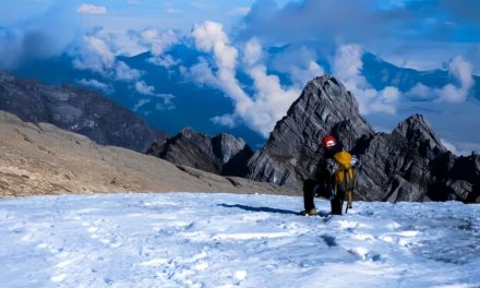 Dampak Salju Terhadap Lingkungan Dan Kehidupan Manusia