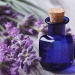 Manfaat Bunga Lavender Untuk Kesehatan Dan Relaksasi