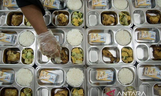 Program MBG Disebut Bisa Membantu Perekonomian Petani Lokal