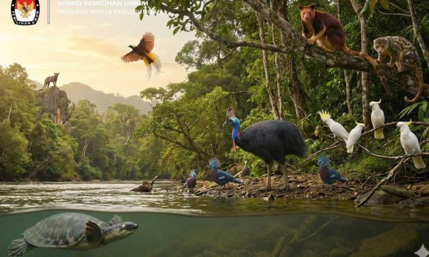 Papua Dan Kekayaan Alamnya Yang Mendunia
