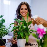 Tips Merawat Tanaman Hias Agar Tetap Subur Sepanjang Tahun