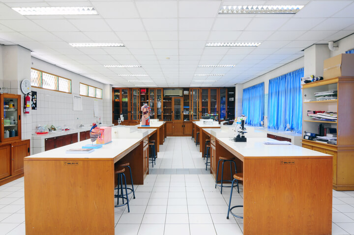 Belajar Biologi Menyenangkan: Memahami Kehidupan Di Sekitar