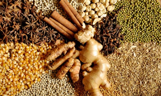 Berbagai Rempah Nusantara Yang Sering Digunakan Masakan
