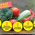 Sayuran Hijau: Kandungan Nutrisi Dan Alasan Penting Dikonsumsi