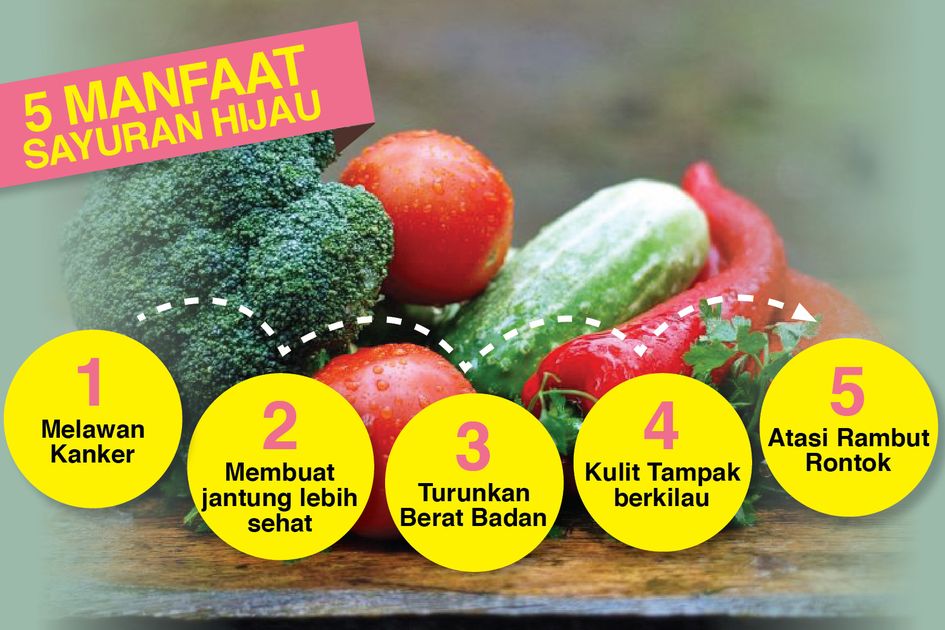 Sayuran Hijau: Kandungan Nutrisi Dan Alasan Penting Dikonsumsi