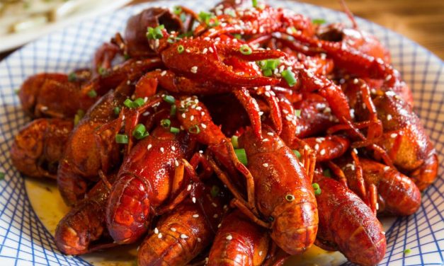 Mengenal Beragam Kuliner Dengan Sensasi Rasa Yang Khas