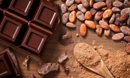 Cokelat Kakao: Biji Kakao Hingga Menjadi Produk Siap Konsumsi