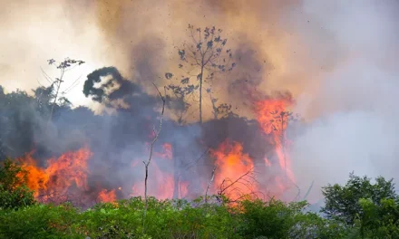 Indonesia Darurat Asap: Dampak Kebakaran Bagi Kesehatan