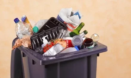 Pengelolaan Sampah Rumah Tangga: Kebiasaan Kecil Lingkungan