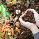 Sampah Organik: Mengubah Limbah Menjadi Pupuk Bermanfaat