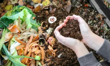 Sampah Organik: Mengubah Limbah Menjadi Pupuk Bermanfaat