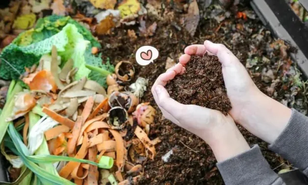 Sampah Organik: Mengubah Limbah Menjadi Pupuk Bermanfaat