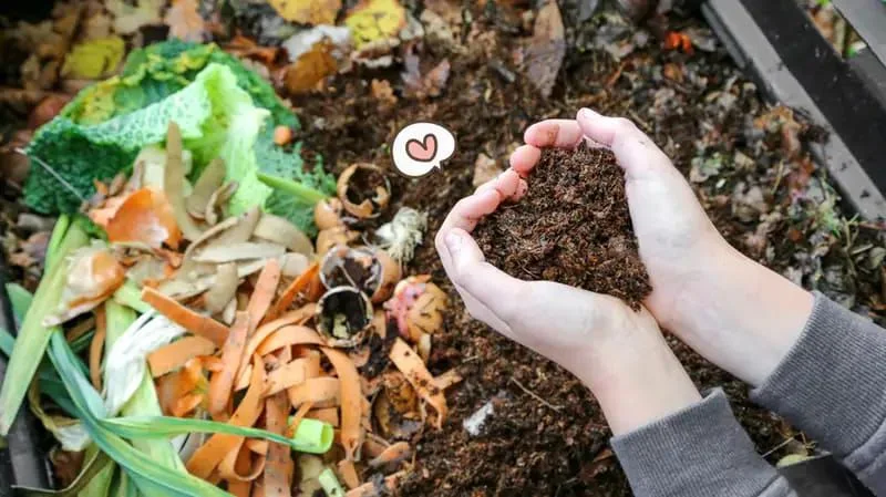 Sampah Organik: Mengubah Limbah Menjadi Pupuk Bermanfaat